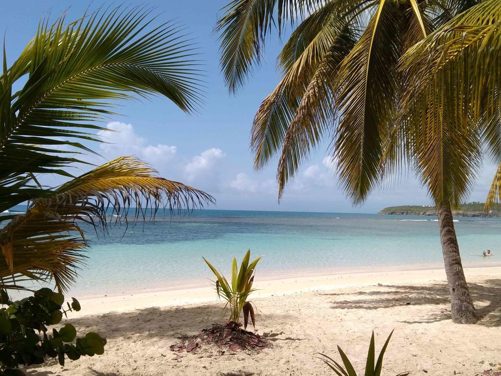 Appartements: Plage & Commerces A 200M Sainte-Anne  Dış mekan fotoğraf