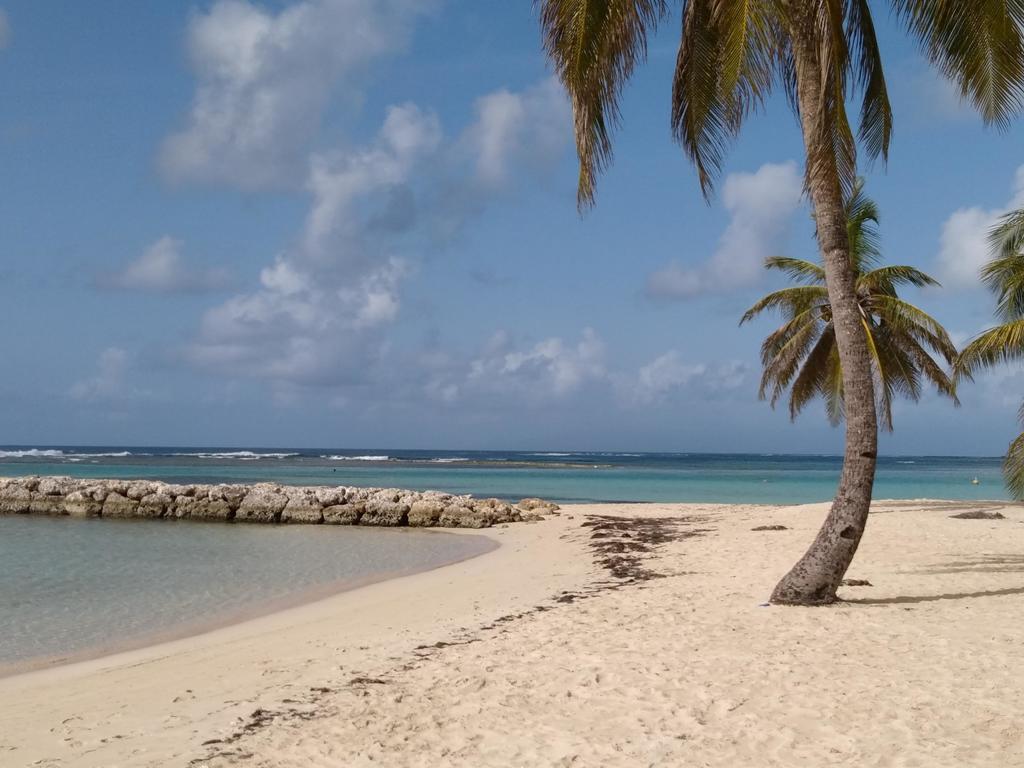 Appartements: Plage & Commerces A 200M Sainte-Anne  Dış mekan fotoğraf